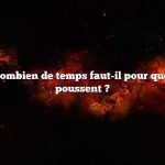 Question : Combien de temps faut-il pour que les pêches poussent ?